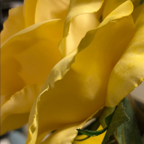 Meet your Posher, T - Picture 2 of 10